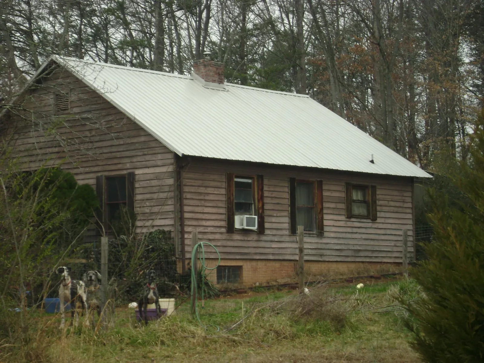 White metal roof on an old wood sided farmhouse, from a Asphalt Shingle Roof Repair job in Rio Grande